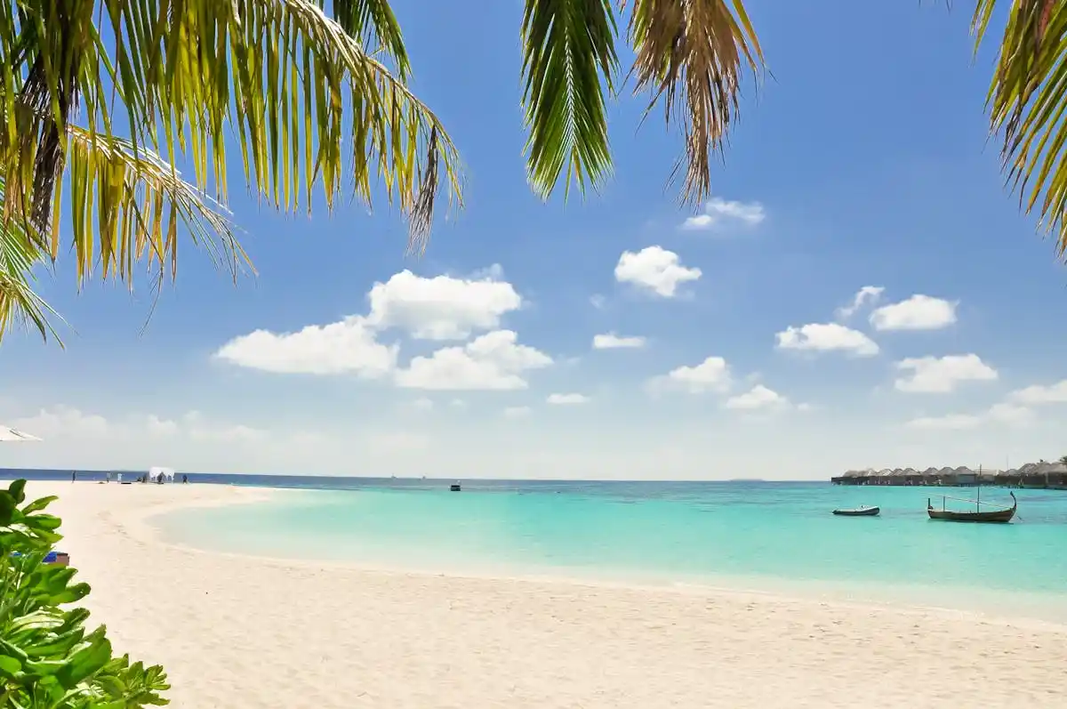 Paradise Bay Bahamas